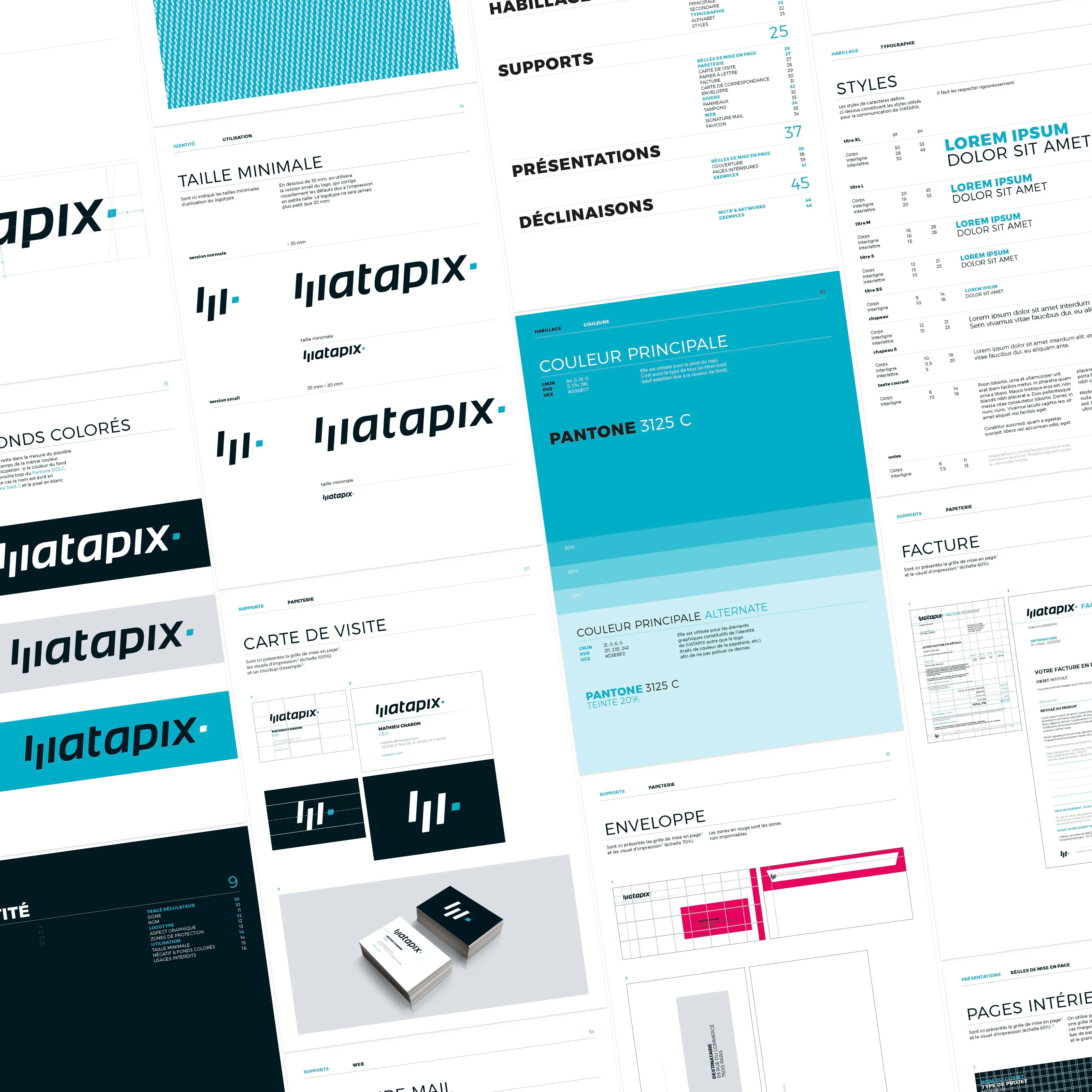 Watapix collection of pages from the guideline document